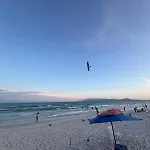 Apartamento Novo 2Q Proximo A Praia Do Forte